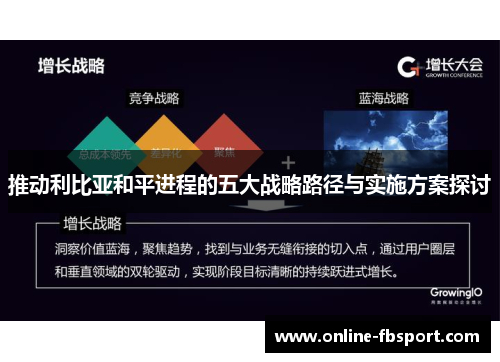 推动利比亚和平进程的五大战略路径与实施方案探讨