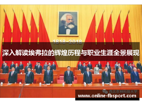 深入解读埃弗拉的辉煌历程与职业生涯全景展现